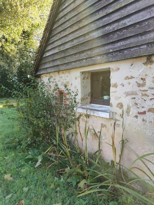 "Reves De Gamins", Gite De Campagne "La Camusiere" Proche Du Pole Europeen Et 24H Champagne  Exterior photo